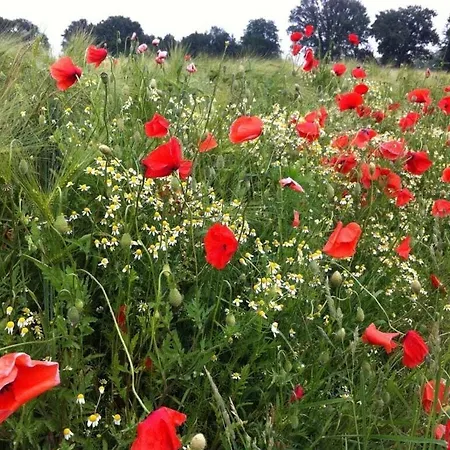 Appartement Old Warehouse Munster (North Rhine-Westphalia)