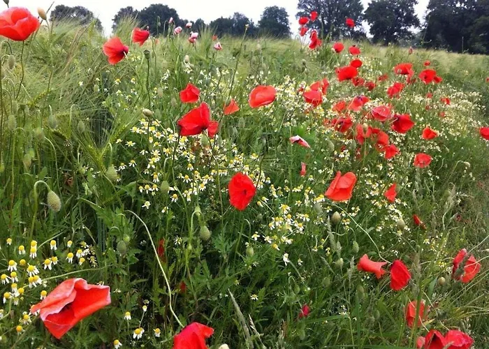 Lägenhet Old Warehouse Munster (North Rhine-Westphalia)